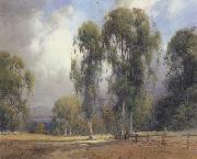 unknow artist California landscape china oil painting reproduction